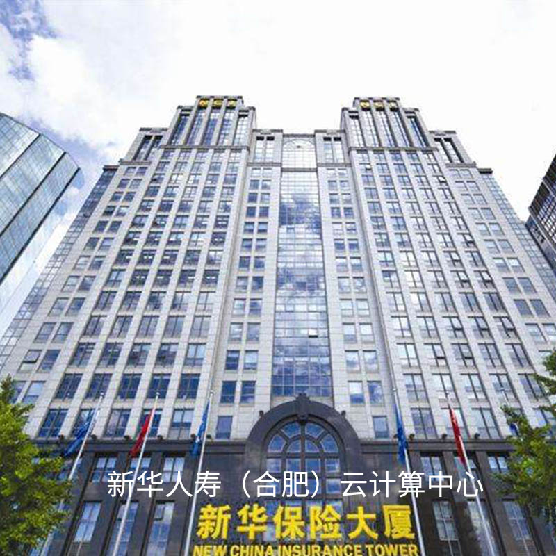 新華人壽（合肥）云計(jì)算中心